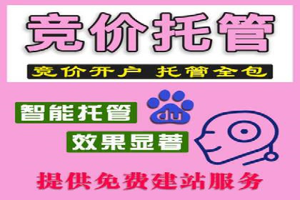 SEM托管代运营服务案例解析